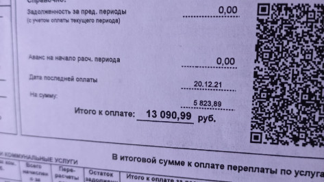 Коммунальщики не смогли объяснить повышение платы за отопление до 13 тыс в воронежском ЖК