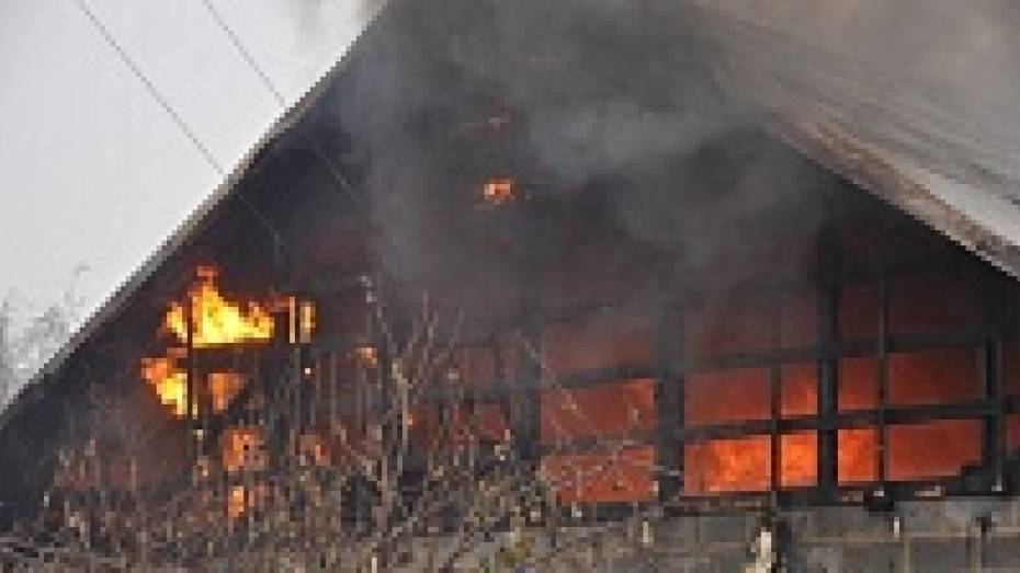 В Верхнехавском районе в горящем доме погибла 89-летняя женщина