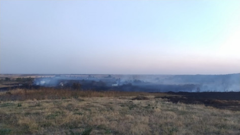 Пожар в селе под Воронежем уничтожил жилой дом