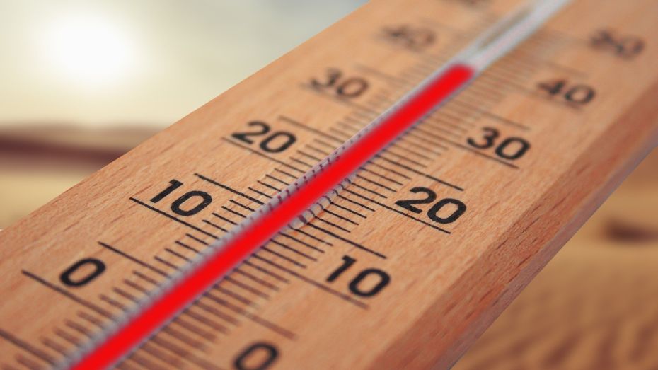 Штормовое предупреждение объявили в Воронежской области из-за 38-градусной жары