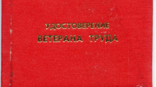 Житель Воронежской области добился присвоения звания «Ветеран труда» через суд