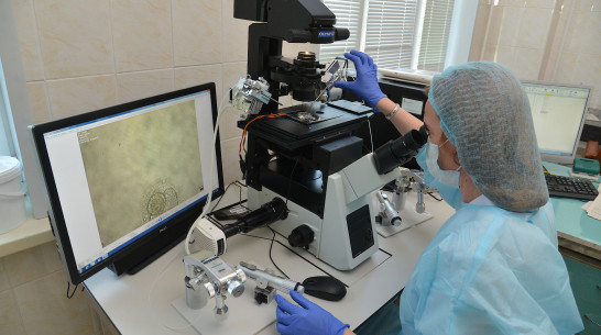 Роспотребнадзор заявил об отсутствии случаев холеры в стране