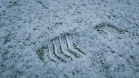 Угонщика автомобиля в Воронежской области нашли по следам на снегу