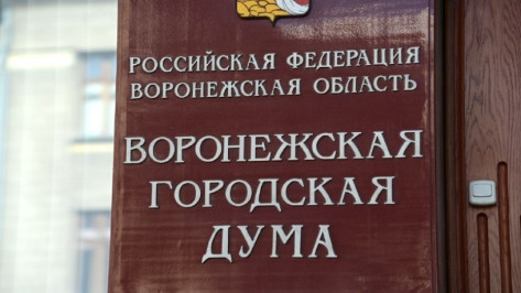 Депутаты гордумы порекомендовали коллегам отменить выборы мэра Воронежа