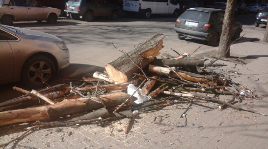 В центре Воронежа на три часа перекроют улицу