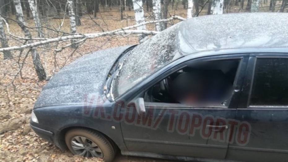 В воронежском лесу нашли обезглавленное тело мужчины в машине