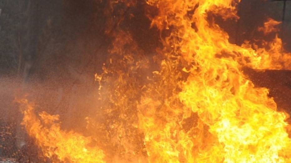 В Богучарском районе сгорело 39 т сена