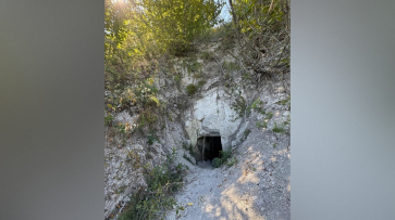 Четыре особо охраняемые природные территории появятся в Воронежской области