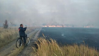 Список пожароопасных мест создаст правительство Воронежской области