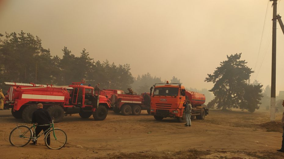 Масштабный лесной пожар приблизился к жилым домам в Воронежской области