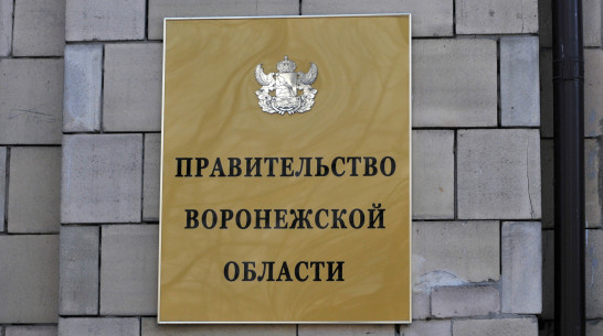 Глава управления по охране объектов культурного наследия Воронежской области покинул пост