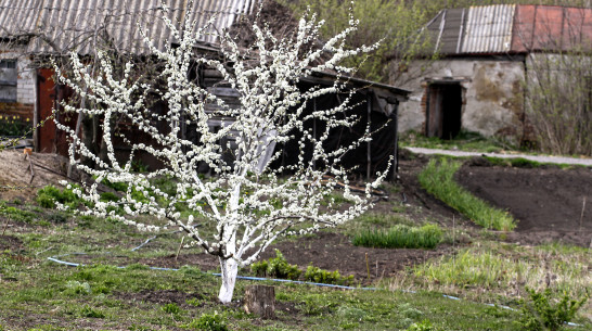 Обзор РИА «Воронеж». Какие законы вступят в силу в мае 2021 года