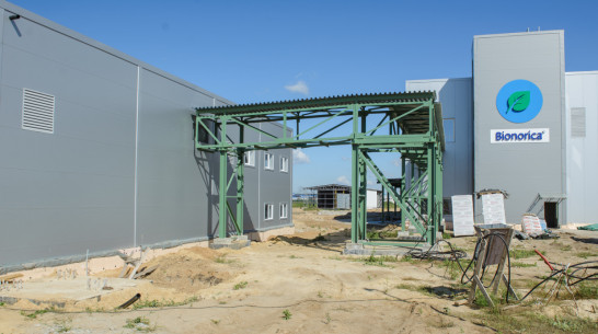 В Воронежской области 77 инвестпроектов попали в реестр особо значимых