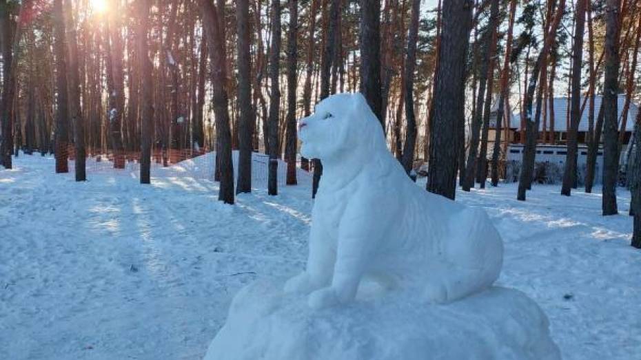 Воронежские мастерицы снежных скульптур слепили символ 2022 года
