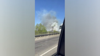 Двое спасателей госпитализированы после тушения крупного пожара в селе Бабяково под Воронежем