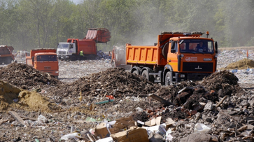 По льготному тарифу воронежцы заплатят за вывоз мусора 492 рубля 