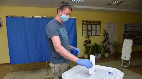Воронежский облизбирком ожидает явку в 65% на общероссийском голосовании