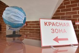 Около 2 тыс госпитализированных COVID-пациентов насчитали в Воронежской области