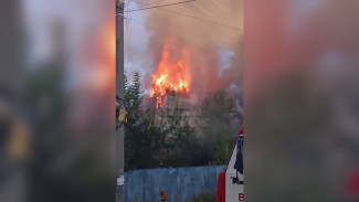 В Воронеже загорелся собачий питомник в переулке Здоровья