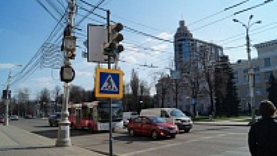 В Воронеже до конца года появятся 20 новых светофоров