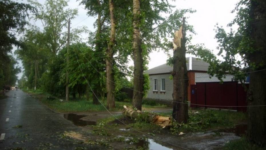 В Острогожске ураган оставил треть города без электричества