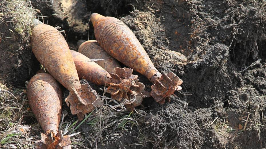 В Острогожском районе уничтожили мины времен войны