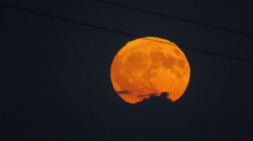 Огромную «клубничную» луну наблюдали в Воронеже: фото и видео