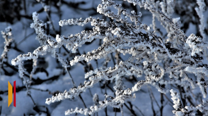 В Воронежской области зима завершится 12-градусным морозом