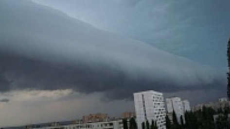 На выходных спасатели советуют воронежцам не выходить из дома из-за бури