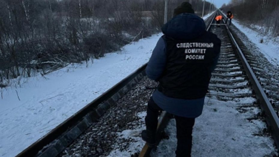 Поезд Москва – Воронеж насмерть сбил 53-летнего мужчину