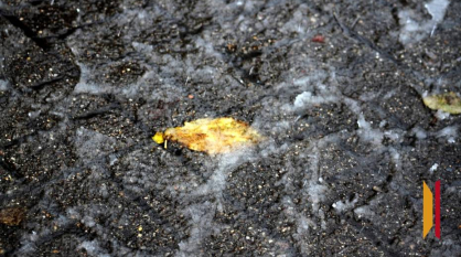 В Воронежской области снова ожидается туман и гололед