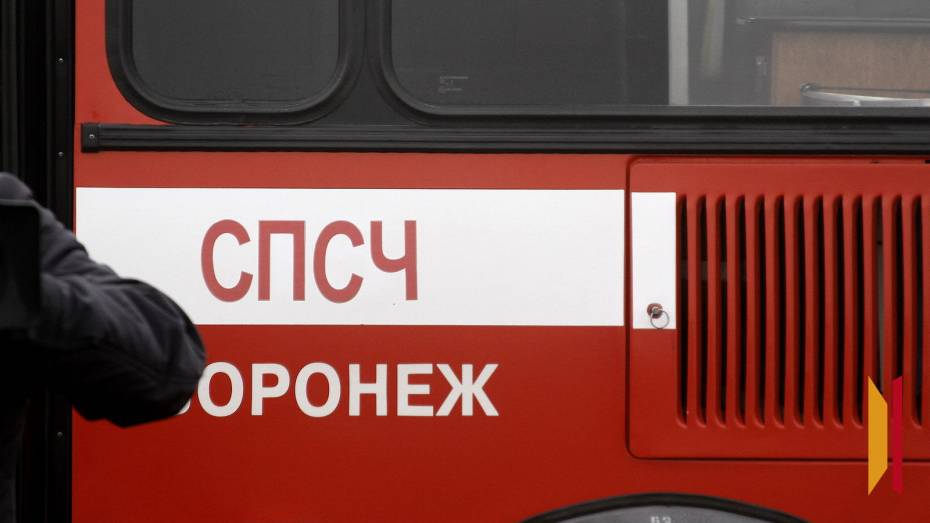 В Воронеже поврежденный во время атаки ВСУ дом обещают отремонтировать за месяц