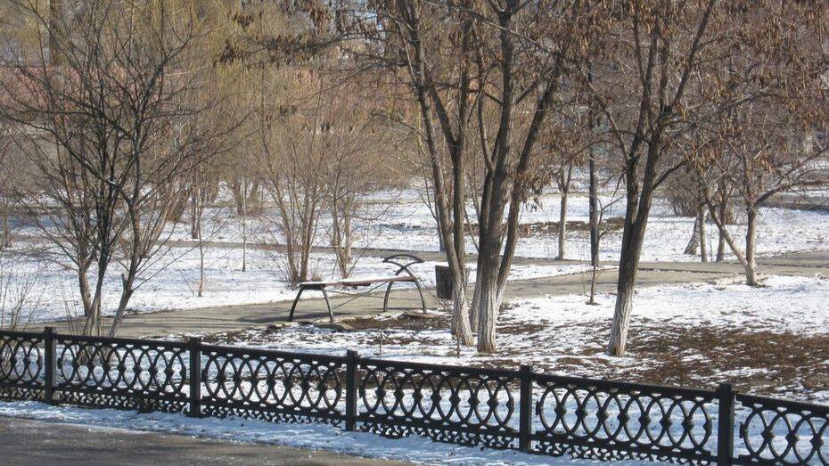 В райцентре Воронежской области обустроят парк «Защитников Отечества» за 20 млн рублей