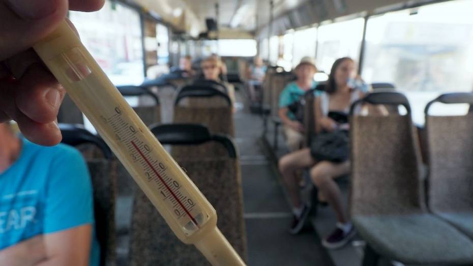 В Воронежской области объявили штормовое предупреждение по жаре с 1 по 5 мая