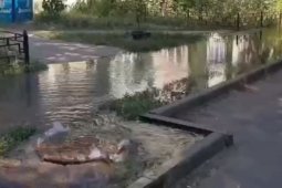 Воронежцы пожаловались на потоп на улице Кропоткина