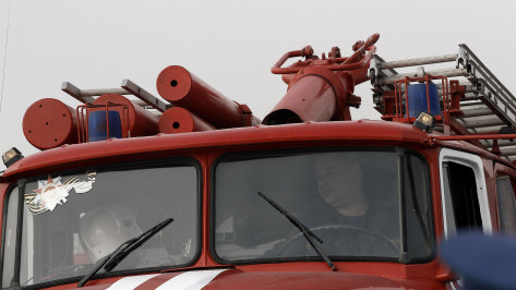 Высокую пожароопасность отметили в 4 районах и 2 городских округах Воронежской области