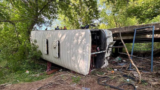 Шесть человек пострадали в перевернувшемся рейсовом автобусе в Воронежской области