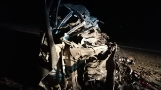 В ночном ДТП с фурой на воронежской трассе погиб 18-летний водитель