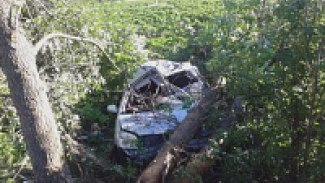 В Воронежской области при опрокидывании Geely погиб водитель