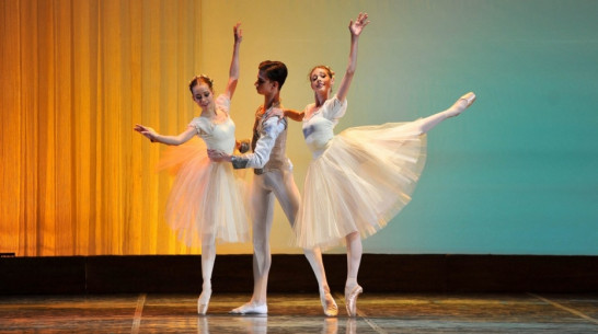 Областные власти помогут Воронежскому хореографическому училищу с расширением 