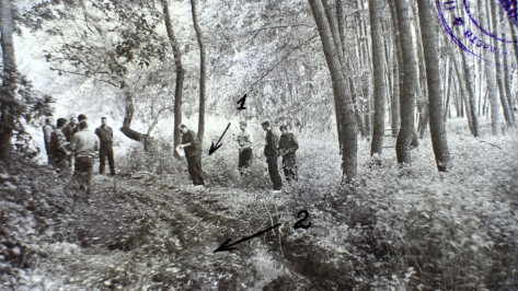 Криминальное чтиво. Как житель Воронежской области отсидел 12,5 года за чужое убийство