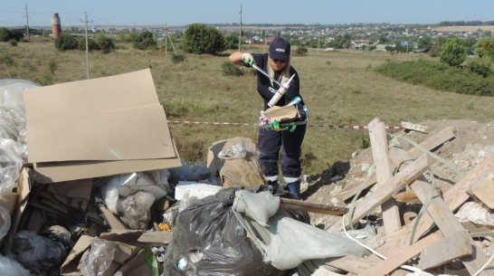 Под Воронежем ущерб от незаконной свалки оценили в 12,8 млн рублей