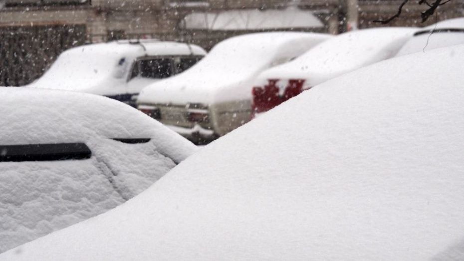 Спасатели объявили штормовое предупреждение в Воронежской области из-за снега и ветра