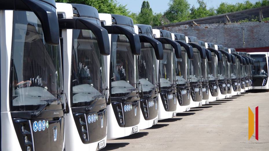 В 2025 году из Воронежа запустят новые маршруты в Запорожскую область и ДНР