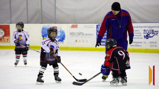 В райцентре Воронежской области построят ледовую арену