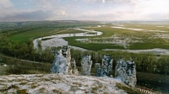 Под Воронежем участники акции «Ночь музеев» построят крепость из картона