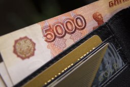 Процент воронежцев с зарплатой от 100 тыс рублей подсчитали аналитики