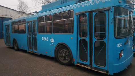 Власти Воронежа не нашли перевозчика для 15 троллейбусов из Москвы