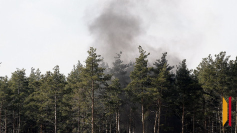 На всей территории Воронежской области вновь установился 3 уровень пожарной опасности