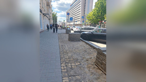 На обновление пешеходной части улицы Пушкинской в Воронеже выделят 50 млн рублей